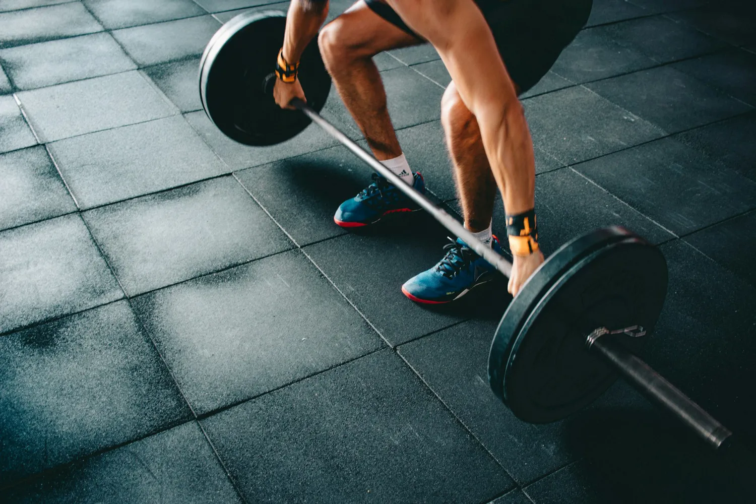 Book a free visit at Himalaya Fitness, Bengaluru